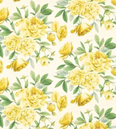 Phoebe Fabric by Zoffany Cadmium Yellow Phoebe Fabric by Zoffany Cadmium Yellow