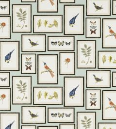 Picture Gallery Wallpaper by Sanderson Aqua/Multi Picture Gallery Wallpaper by Sanderson Aqua/Multi