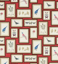 Picture Gallery Wallpaper by Sanderson Red/Multi Picture Gallery Wallpaper by Sanderson Red/Multi