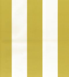 Pisa Stretto Fabric by Osborne & Little Chartreuse Pisa Stretto Fabric by Osborne & Little Chartreuse