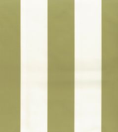 Pisa Stretto Fabric by Osborne & Little Moss Pisa Stretto Fabric by Osborne & Little Moss
