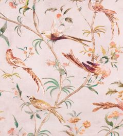 Pluma Fabric by Romo Blush Pluma Fabric by Romo Blush