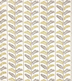Plumier Fabric by Nina Campbell Sand/Brown Plumier Fabric by Nina Campbell Sand/Brown