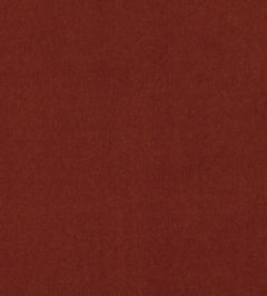 Plush Fabric by Mark Alexander Burnt Sienna Plush Fabric by Mark Alexander Burnt Sienna