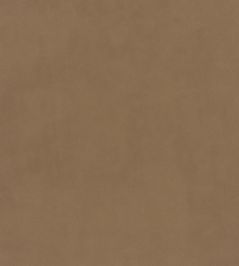 Plush Velvet Fabric by Warwick Almond Plush Velvet Fabric by Warwick Almond