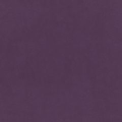 Plush Velvet FR Fabric by Warwick Amethyst Plush Velvet FR Fabric by Warwick Amethyst