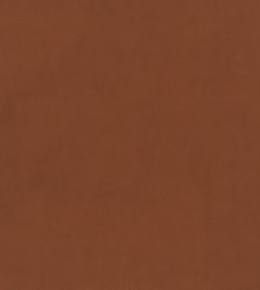 Plush Velvet FR Fabric by Warwick Apricot Plush Velvet FR Fabric by Warwick Apricot