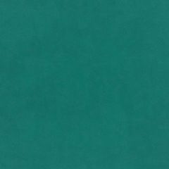 Plush Velvet FR Fabric by Warwick Atoll Plush Velvet FR Fabric by Warwick Atoll