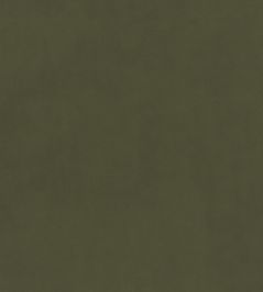 Plush Velvet FR Fabric by Warwick Avocado Plush Velvet FR Fabric by Warwick Avocado