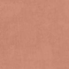 Plush Velvet Fabric by Warwick Blush Plush Velvet Fabric by Warwick Blush