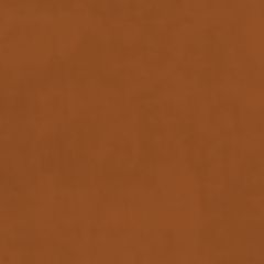 Plush Velvet FR Fabric by Warwick Burnt Plush Velvet FR Fabric by Warwick Burnt