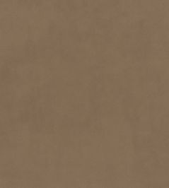 Plush Velvet FR Fabric by Warwick Caribou Plush Velvet FR Fabric by Warwick Caribou