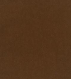 Plush Velvet Fabric by Warwick Cayenne Plush Velvet Fabric by Warwick Cayenne