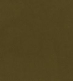 Plush Velvet Fabric by Warwick Cedar Plush Velvet Fabric by Warwick Cedar