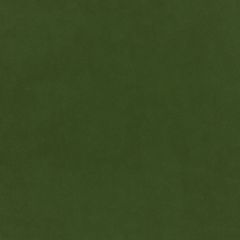 Plush Velvet FR Fabric by Warwick Conifer Plush Velvet FR Fabric by Warwick Conifer