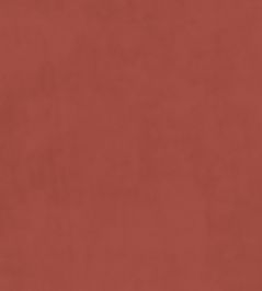 Plush Velvet FR Fabric by Warwick Coral Plush Velvet FR Fabric by Warwick Coral