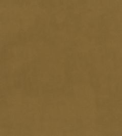 Plush Velvet FR Fabric by Warwick Dijon Plush Velvet FR Fabric by Warwick Dijon