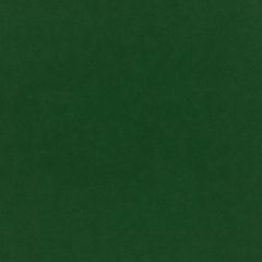 Plush Velvet FR Fabric by Warwick Evergreen Plush Velvet FR Fabric by Warwick Evergreen
