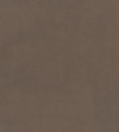Plush Velvet Fabric by Warwick Fallow Plush Velvet Fabric by Warwick Fallow
