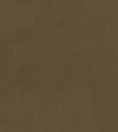 Plush Velvet Fabric by Warwick Fennel Plush Velvet Fabric by Warwick Fennel