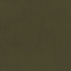 Plush Velvet FR Fabric by Warwick Fern Plush Velvet FR Fabric by Warwick Fern