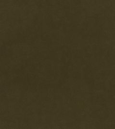 Plush Velvet FR Fabric by Warwick Forage Plush Velvet FR Fabric by Warwick Forage