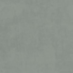Plush Velvet Fabric by Warwick French Grey Plush Velvet Fabric by Warwick French Grey
