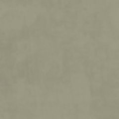 Plush Velvet FR Fabric by Warwick Lichen Plush Velvet FR Fabric by Warwick Lichen