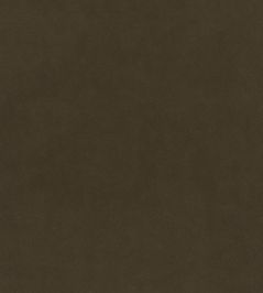 Plush Velvet FR Fabric by Warwick Poplar Plush Velvet FR Fabric by Warwick Poplar