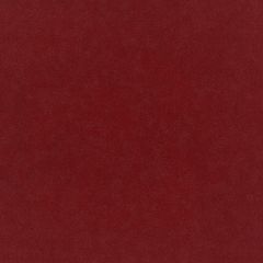 Plush Velvet Fabric by Warwick Rouge Plush Velvet Fabric by Warwick Rouge