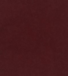 Plush Velvet FR Fabric by Warwick Ruby Plush Velvet FR Fabric by Warwick Ruby