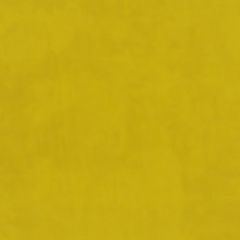 Plush Velvet FR Fabric by Warwick Zest Plush Velvet FR Fabric by Warwick Zest