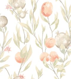 Pomegranate Trail Wallpaper by Ohpopsi Blossom Pomegranate Trail Wallpaper by Ohpopsi Blossom
