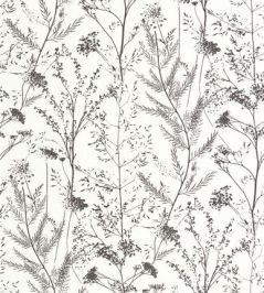 Prairie Wallpaper by Casadeco Reglisse Prairie Wallpaper by Casadeco Reglisse