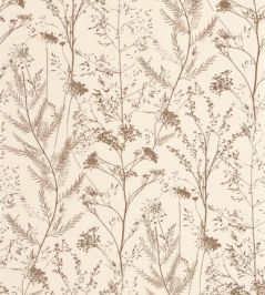 Prairie Wallpaper by Casadeco Terre de Sienne Prairie Wallpaper by Casadeco Terre de Sienne