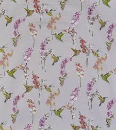 Humming Bird Fabric by Prestigious Textiles Rose Quartz Humming Bird Fabric by Prestigious Textiles Rose Quartz