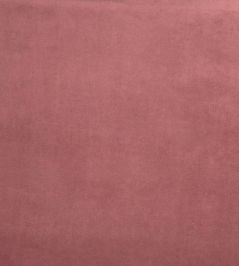 Belgravia Fabric by Prestigious Textiles Blossom Belgravia Fabric by Prestigious Textiles Blossom