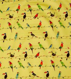 Toucan Talk Fabric by Prestigious Textiles Zest Toucan Talk Fabric by Prestigious Textiles Zest