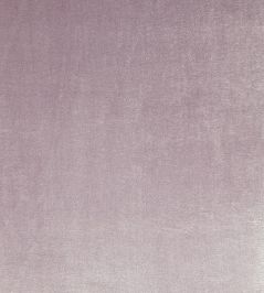 Velour Fabric by Prestigious Textiles Heather Velour Fabric by Prestigious Textiles Heather