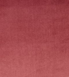 Velour Fabric by Prestigious Textiles Rosebud Velour Fabric by Prestigious Textiles Rosebud