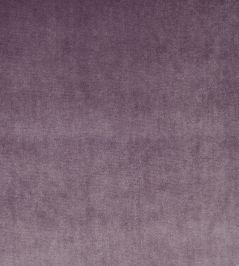 Velour Fabric by Prestigious Textiles Mulberry Velour Fabric by Prestigious Textiles Mulberry