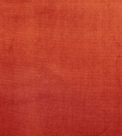 Velour Fabric by Prestigious Textiles Oxblood Velour Fabric by Prestigious Textiles Oxblood