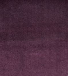 Velour Fabric by Prestigious Textiles Grape Velour Fabric by Prestigious Textiles Grape