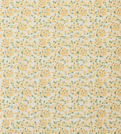 Primrose Wallpaper by Sophie Harpley Butter Primrose Wallpaper by Sophie Harpley Butter