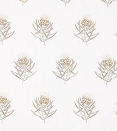 Protea Flower Fabric by Sanderson Gold Protea Flower Fabric by Sanderson Gold