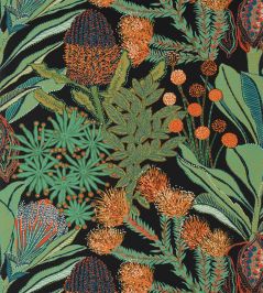 Protea Wallpaper by Thibaut Black Protea Wallpaper by Thibaut Black