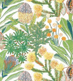 Protea Wallpaper by Thibaut Brights Protea Wallpaper by Thibaut Brights