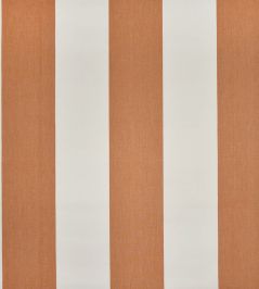 Punch Fabric by Casal Goyave Punch Fabric by Casal Goyave