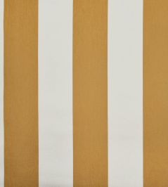 Punch Fabric by Casal Ocre Punch Fabric by Casal Ocre