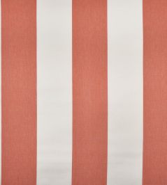 Punch Fabric by Casal Papaye Punch Fabric by Casal Papaye